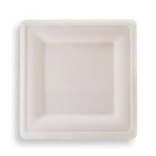 Sugar Cane Square Snack Plate 50pk