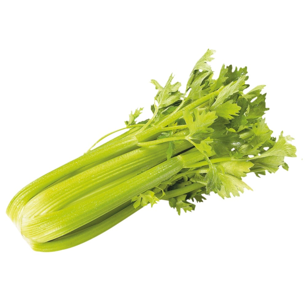 Celery Bunch p/ea