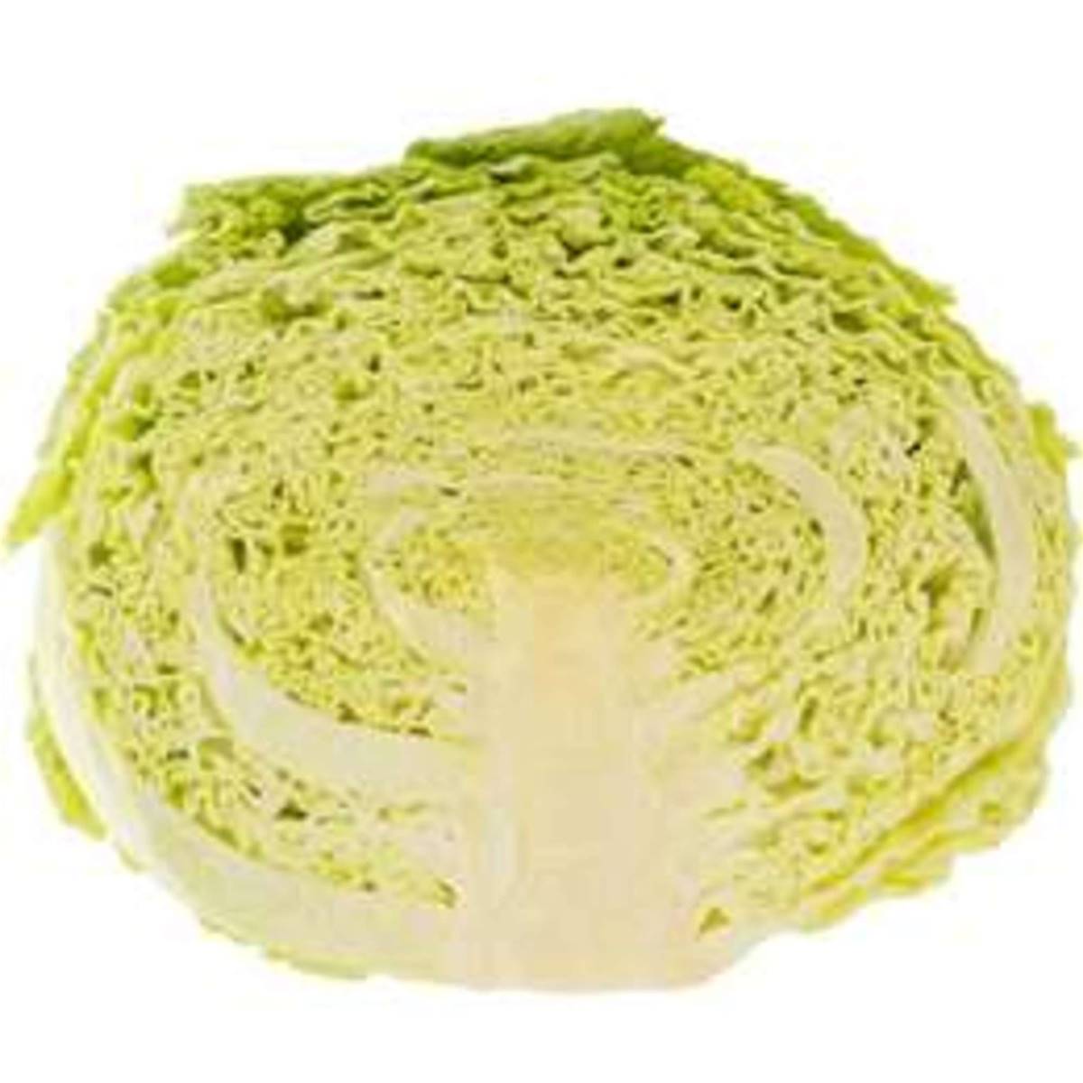 Cabbage Savoy Half