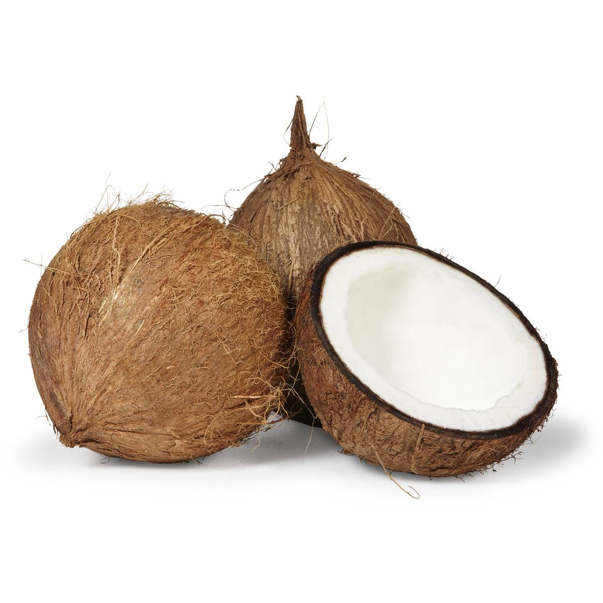 Coconut p/ea