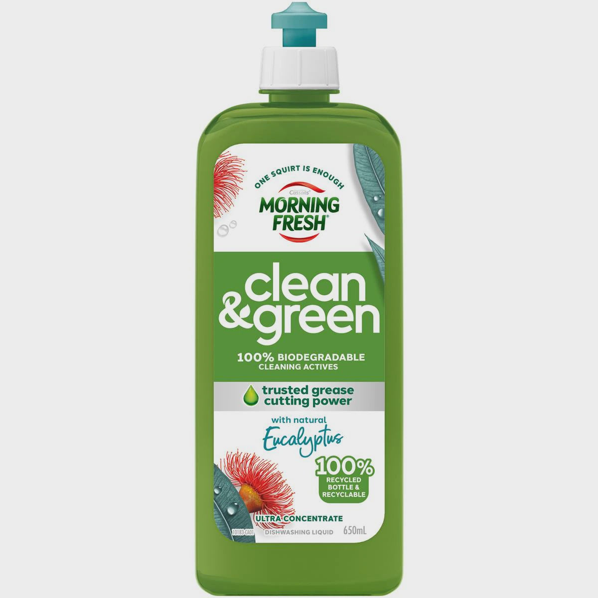 Morning Fresh Natural Eucalyptus Clean & Green Dishwashing Liquid 650ml