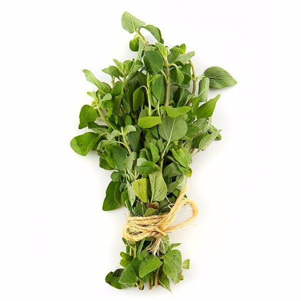 Herb Oregano Bunch