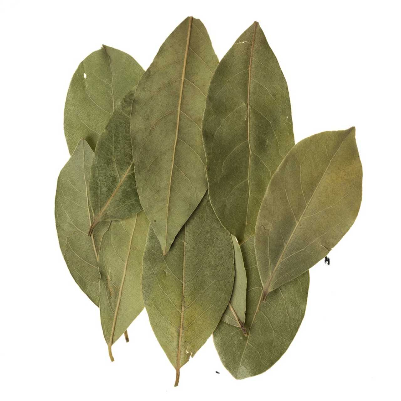 Herb Bay Leaves 10g