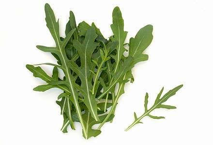 York Town Organics Roquette 100g