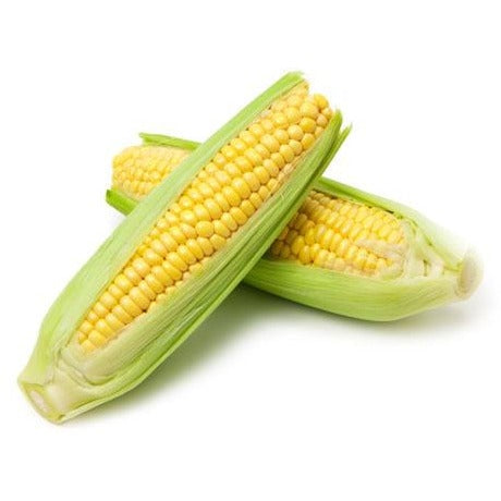 Corn Cob p/ea