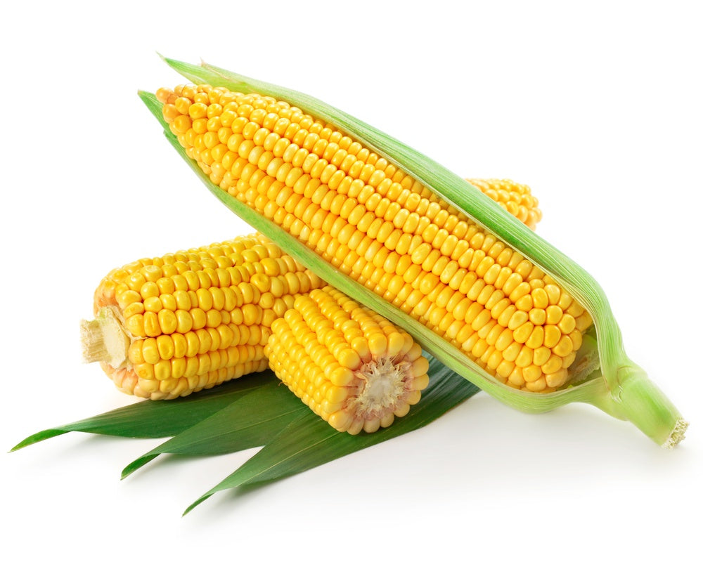 Corn Cobs Whole 2pk