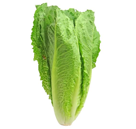 Lettuce Cos Large p/ea