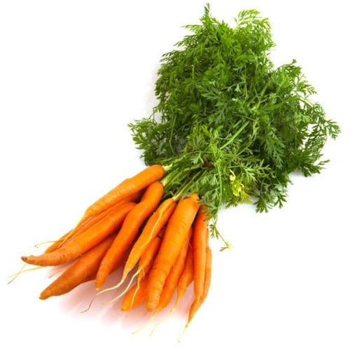 Carrots Dutch Bunch p/ea