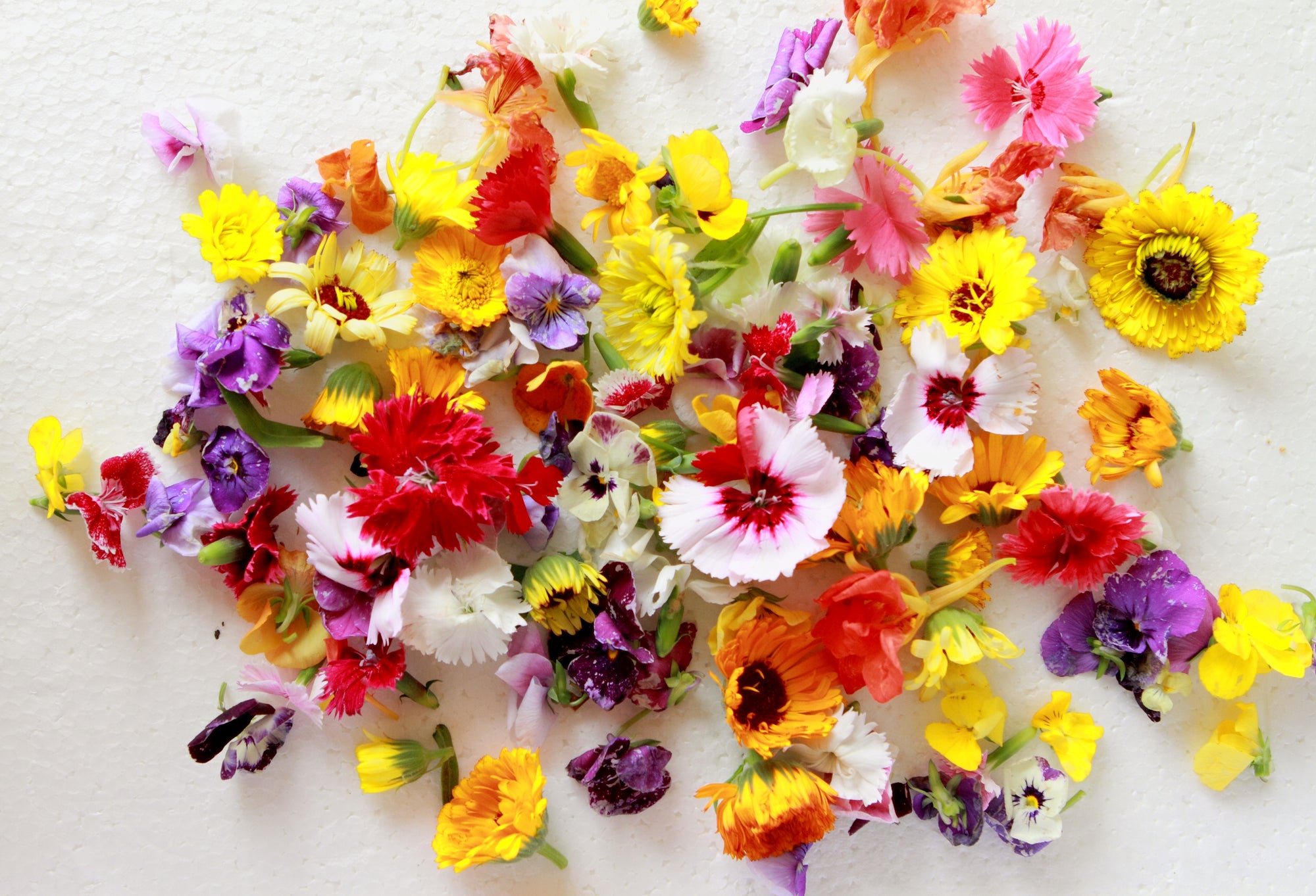 York Town Organics Edible Flowers Punnet