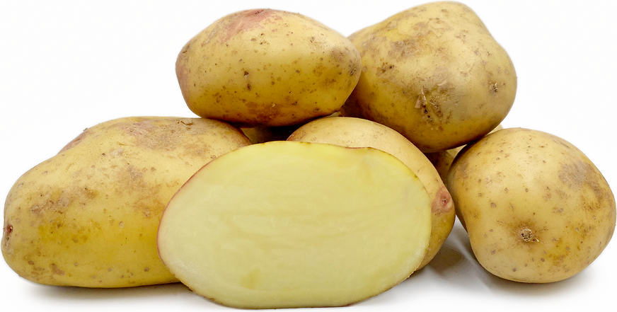 Potatoes King Edward p/kg