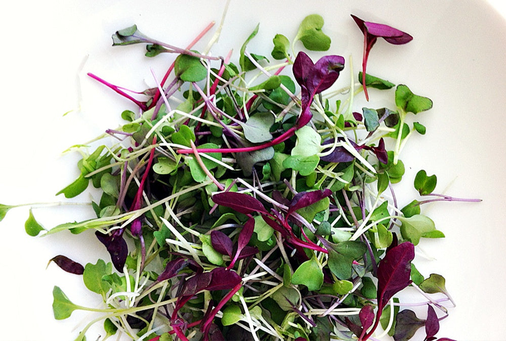 York Town Organics Micro Herbs 60g