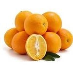 Oranges Navel p/kg