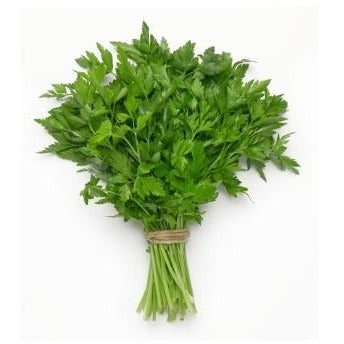 Herb Parsley Flat Leaf Bunch