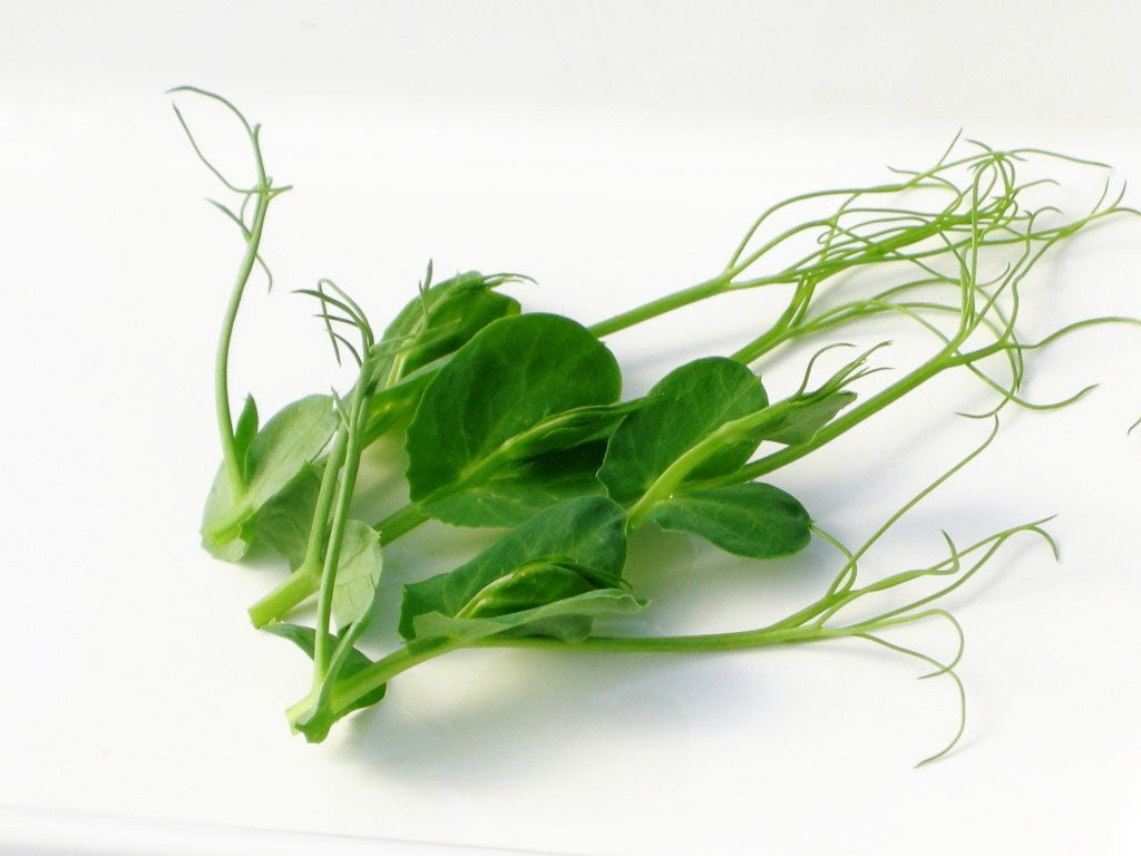 York Town Organics Pea Tendrils Punnet