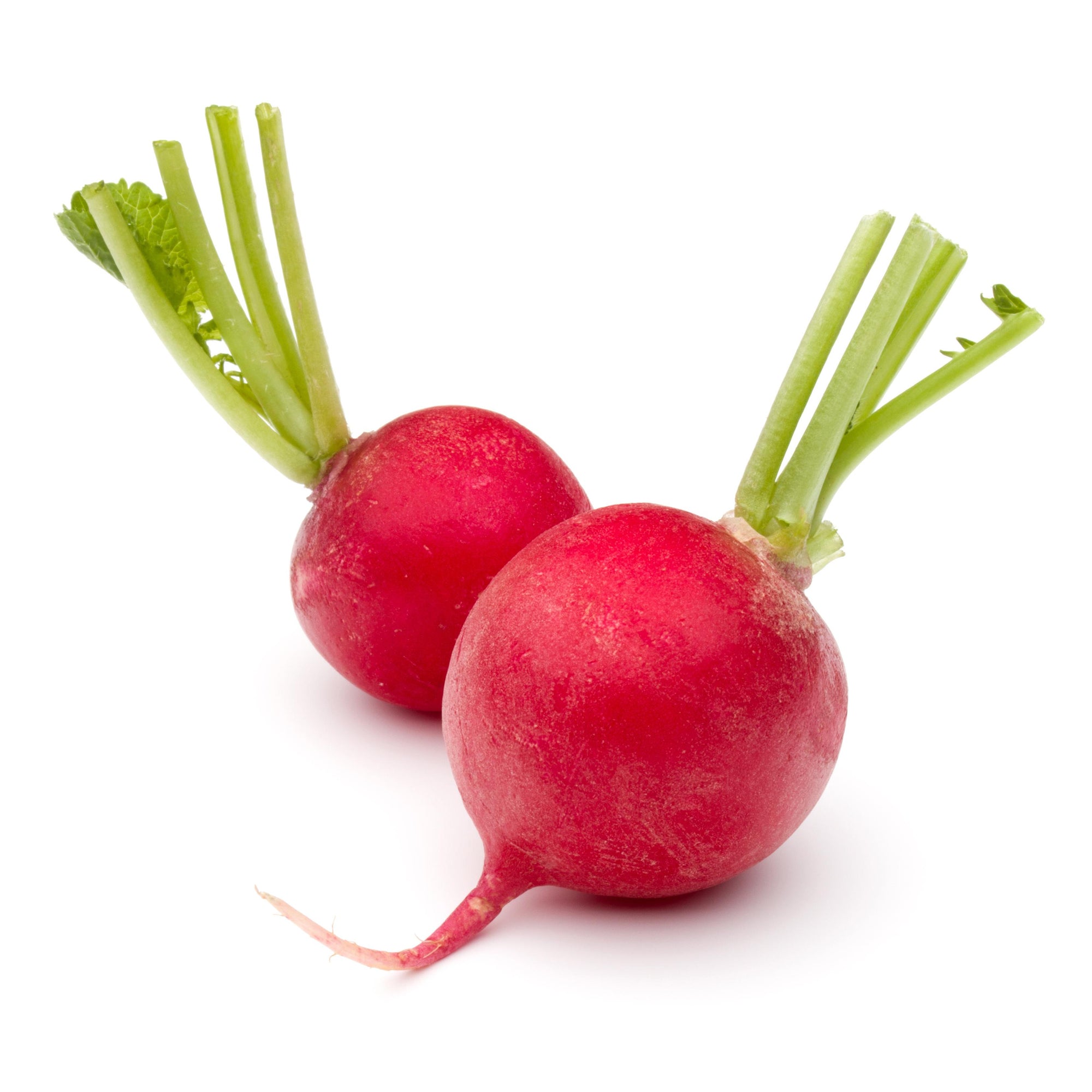 Radish Red Bunch p/ea