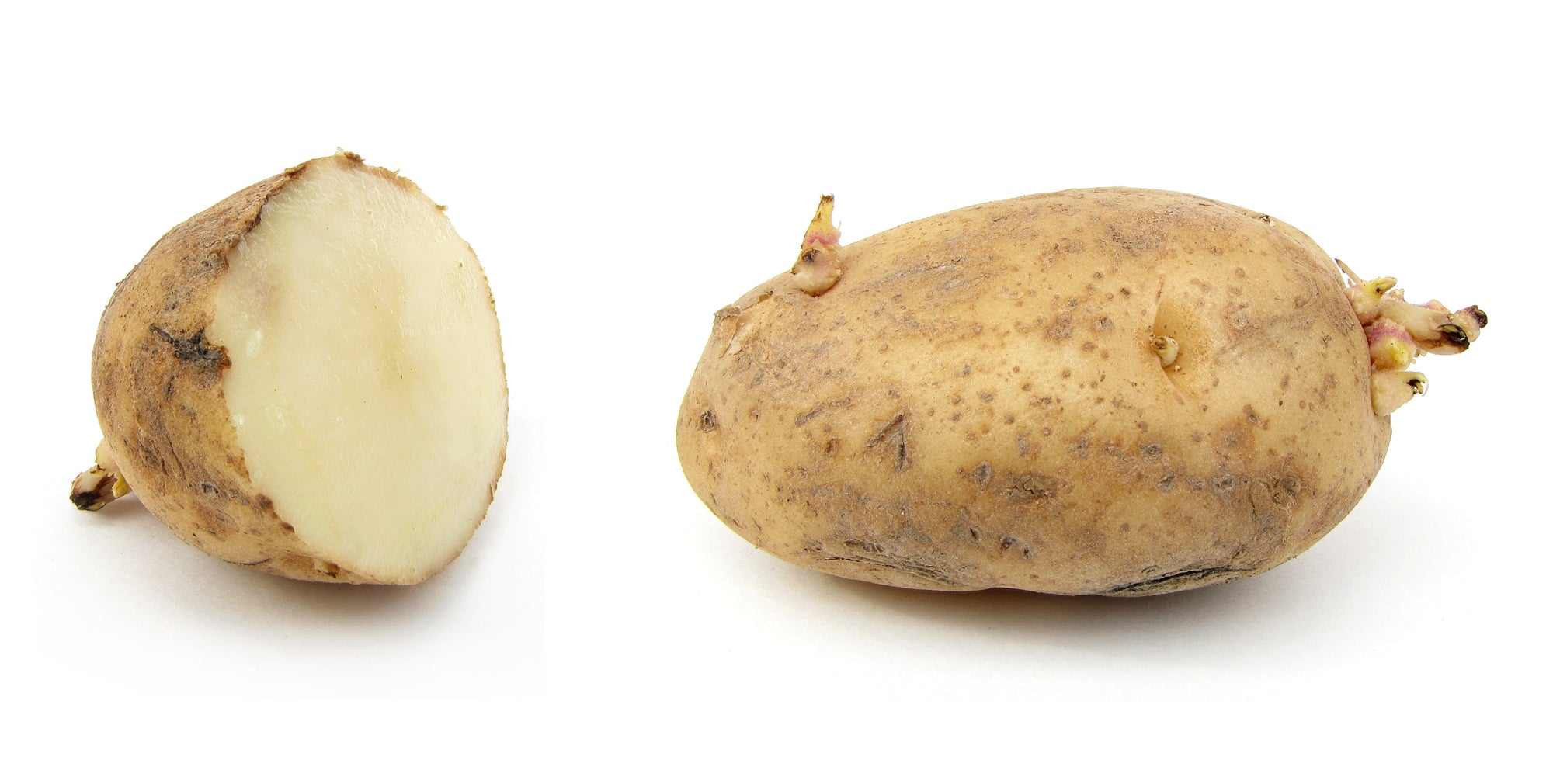 Potatoes Russet 5kg