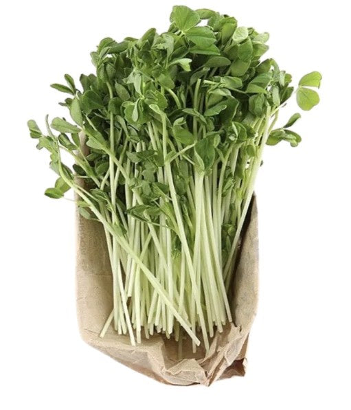 Pea Garden Sprouts 100g