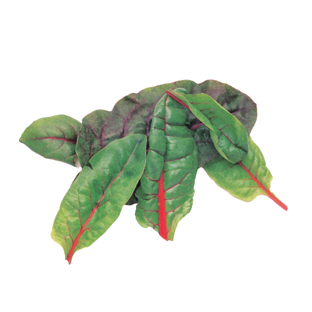 York Town Organics Baby Silverbeet 130g