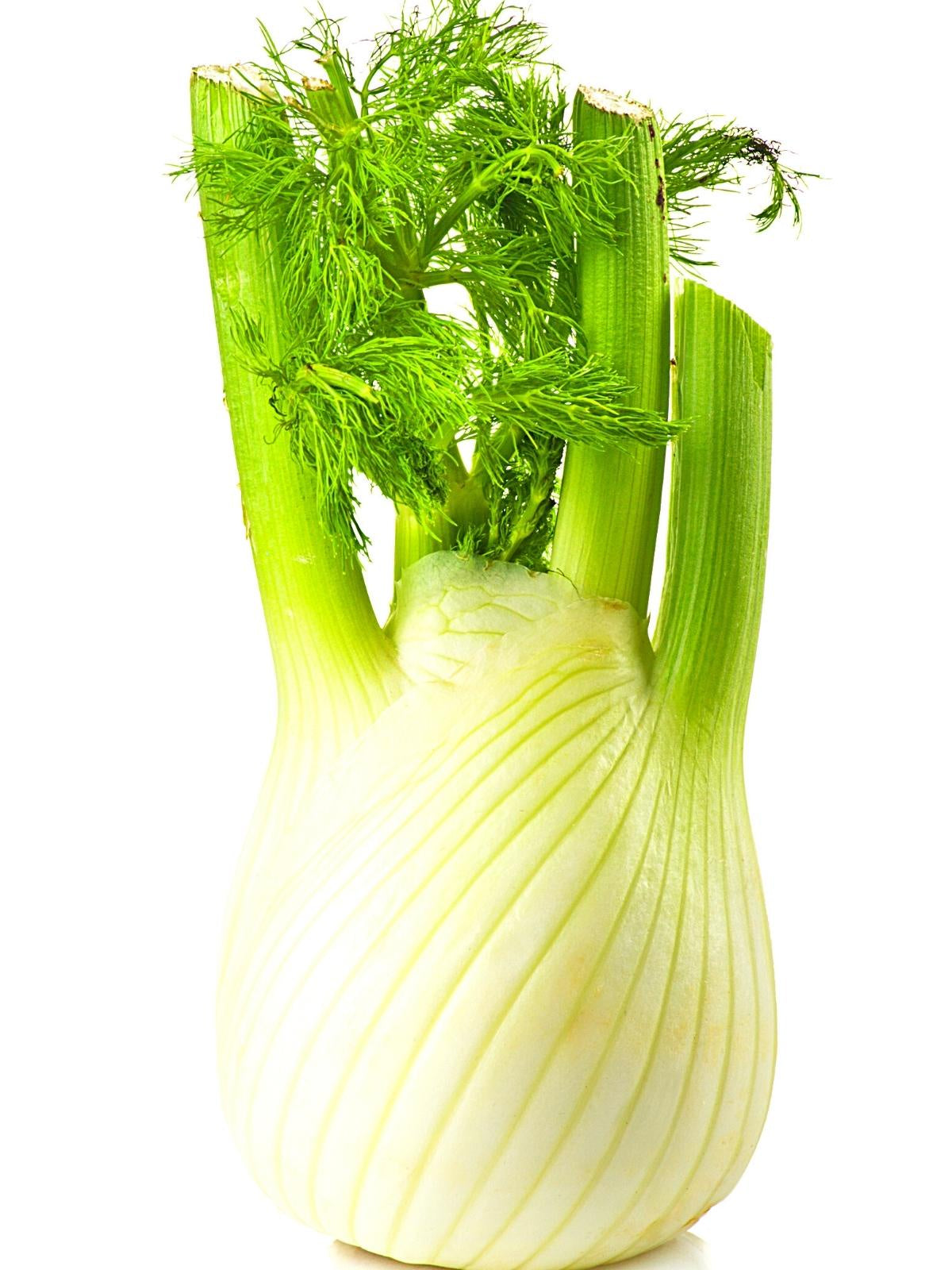 Fennel p/ea