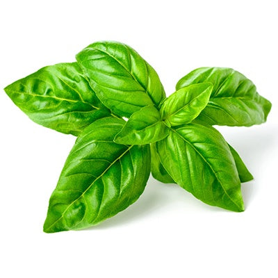 Herb Basil Bunch