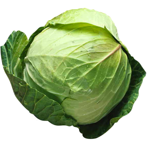 Cabbage Green Whole