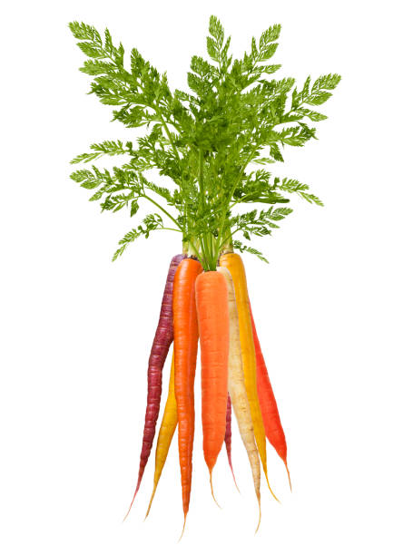 Carrots Baby Heirloom Bunch p/ea