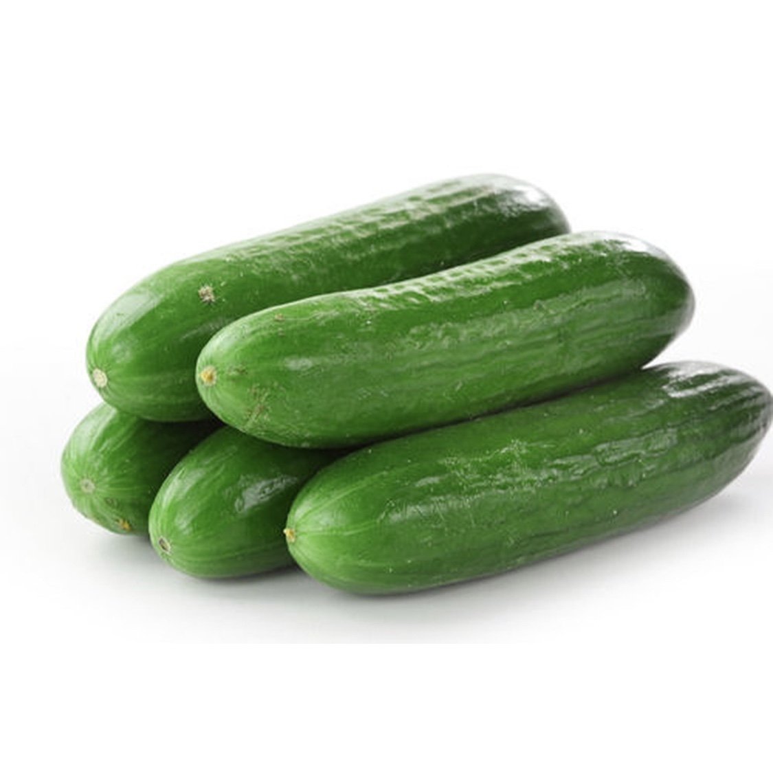 Cucumber Lebanese p/kg