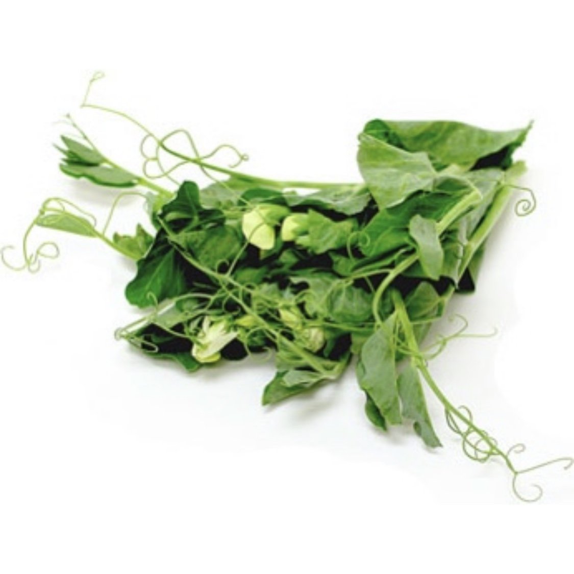 Snow Pea Tendrils p/kg