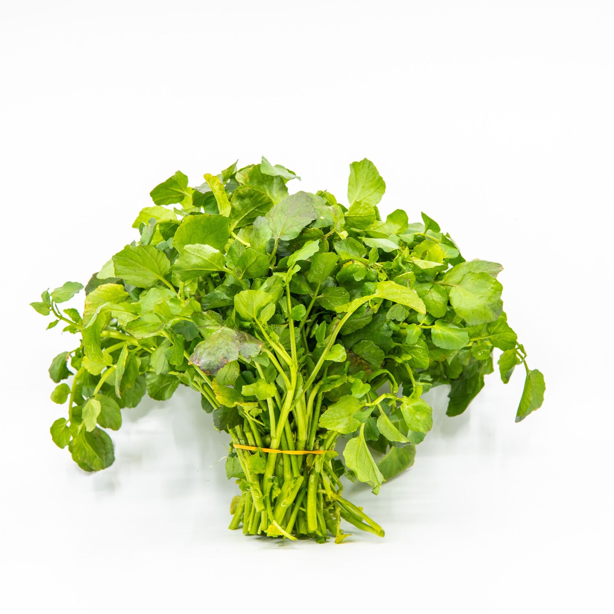 Herb Watercress Bunch