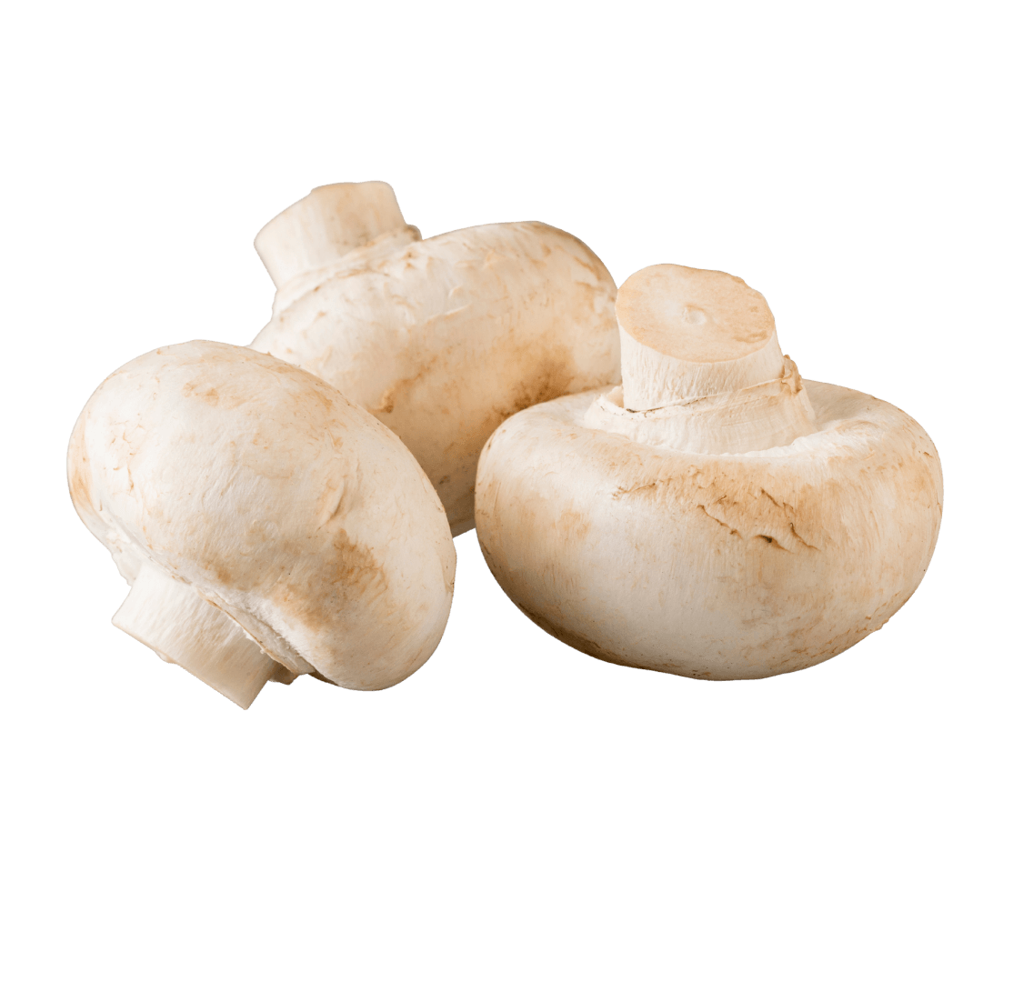 Mushrooms p/kg