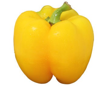 Capsicum Yellow p/kg