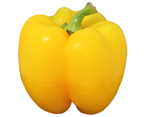 Capsicum Yellow p/kg